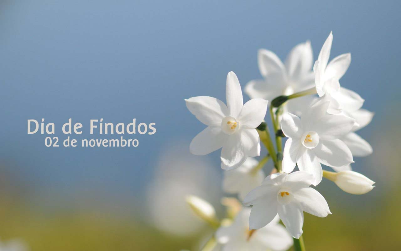 Missas no dia 2 de Novembro