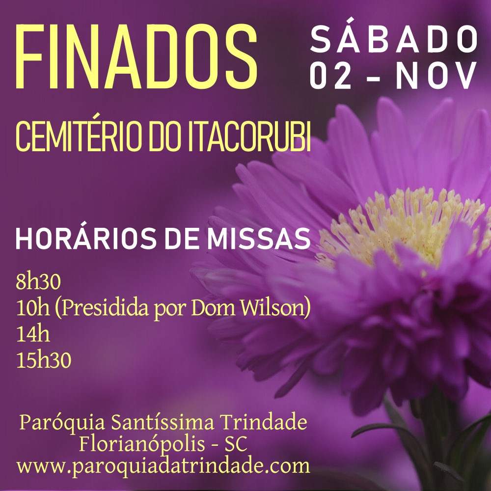 Finados: Confira a programação